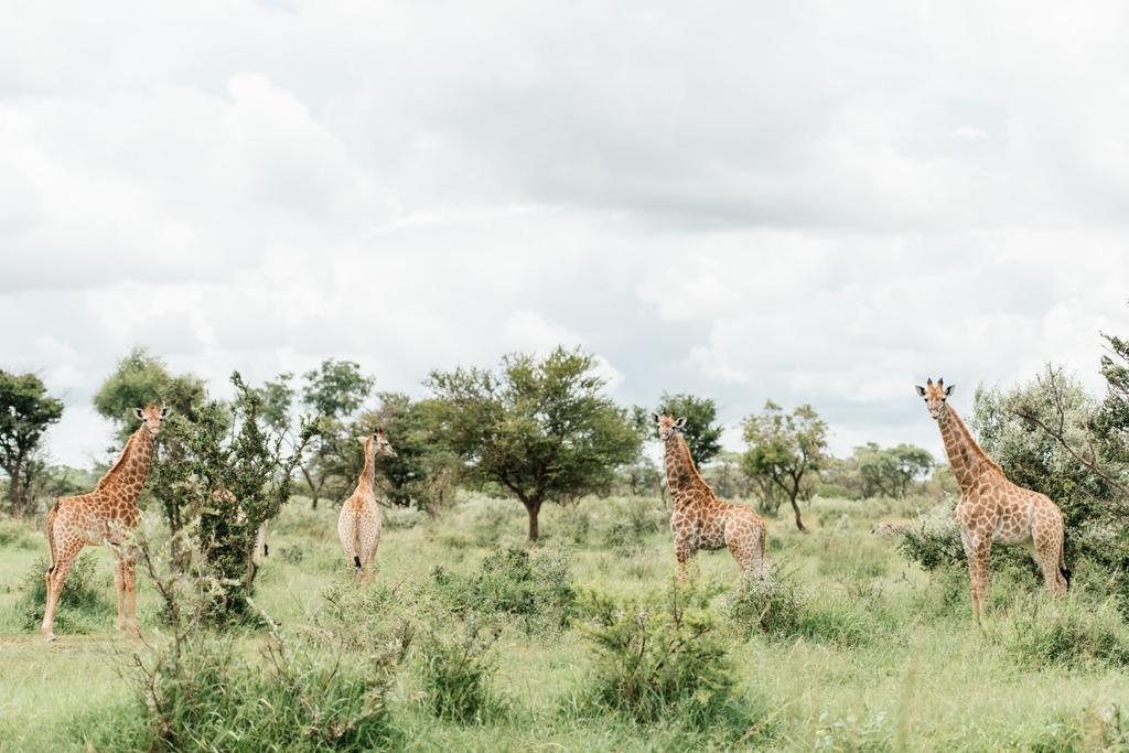 Monate Game Resort